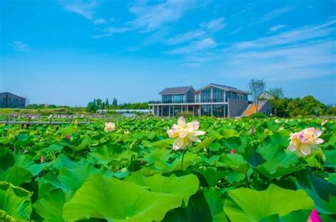 金山区建材制品价格表