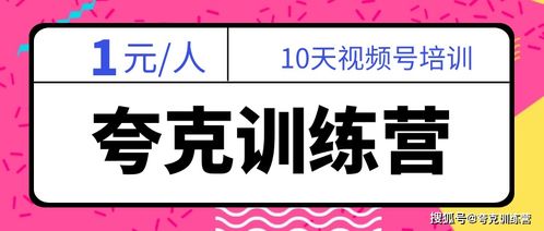 创建视频号名字大全