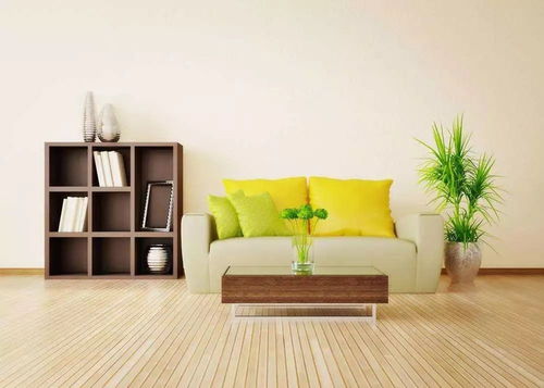 新装修的房子辣眼睛怎么去除