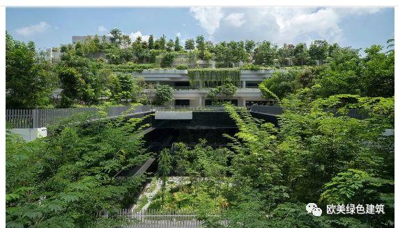 新加坡绿色住宅