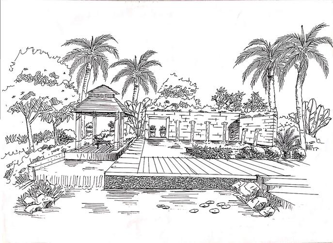 景观设计手绘线稿