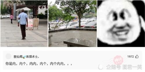 重庆巴蜀小学招生简章2020