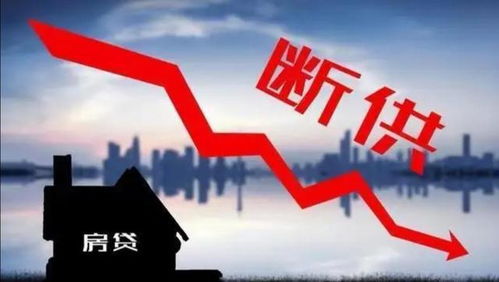 房产信息内容