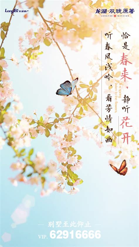 龙湖地产名字的由来