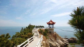 威海金鼎置业有限公司