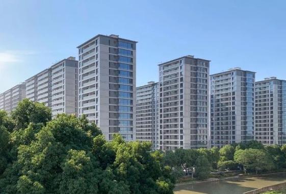 新国五条出台政策