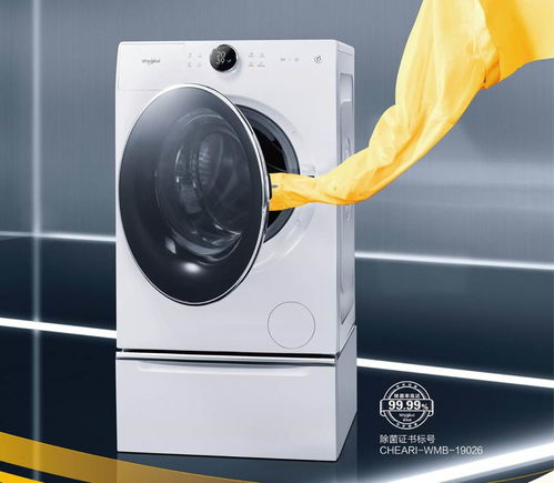 干衣机哪个牌子最好用