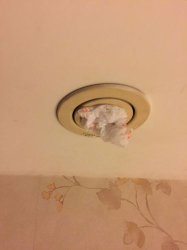 装修吊顶里有老鼠窝怎么办