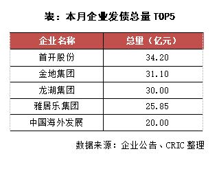 债券之翼民企的融资新篇章