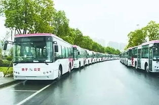 苹果园东公交站乱停车难题，居民与公交如何共存？