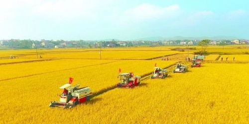 福建省土地节约集约利用取得明显成效