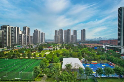 官宣！深圳后海新增两宗超靓宅地