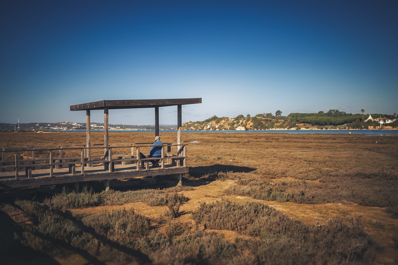 印度仍未收获首金，从失望到希望的转变