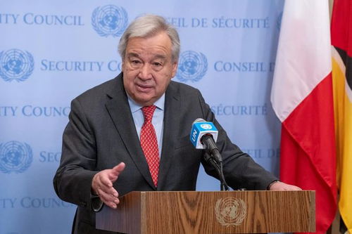 傅华会见联合国副秘书长弗莱明和儿基会负责人