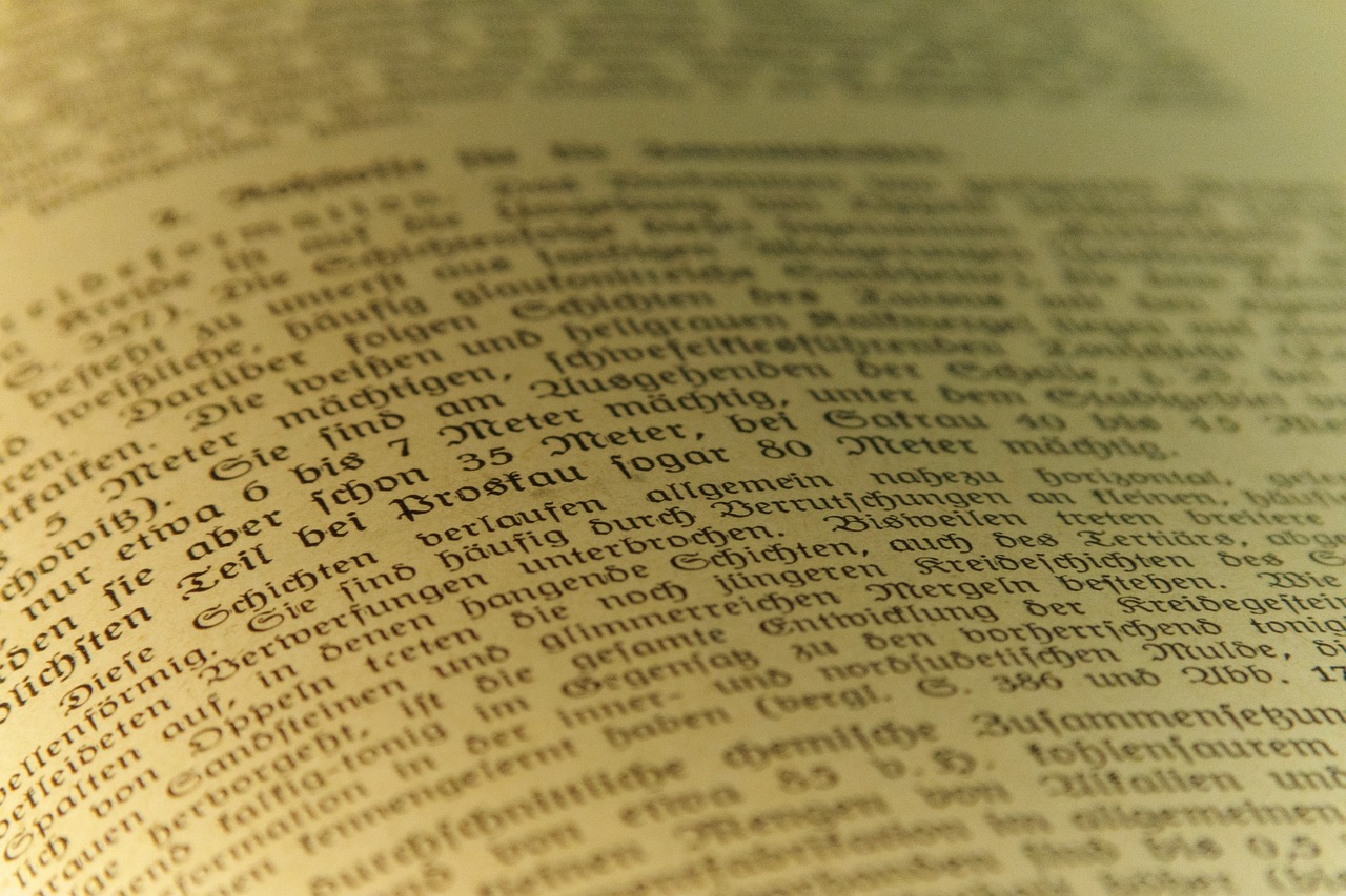 德国本科生薪水比不上锁匠，梁文道称