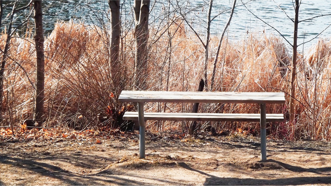 估价1.45亿元的苏州园林流拍了，传统文化遗产的困境与机遇