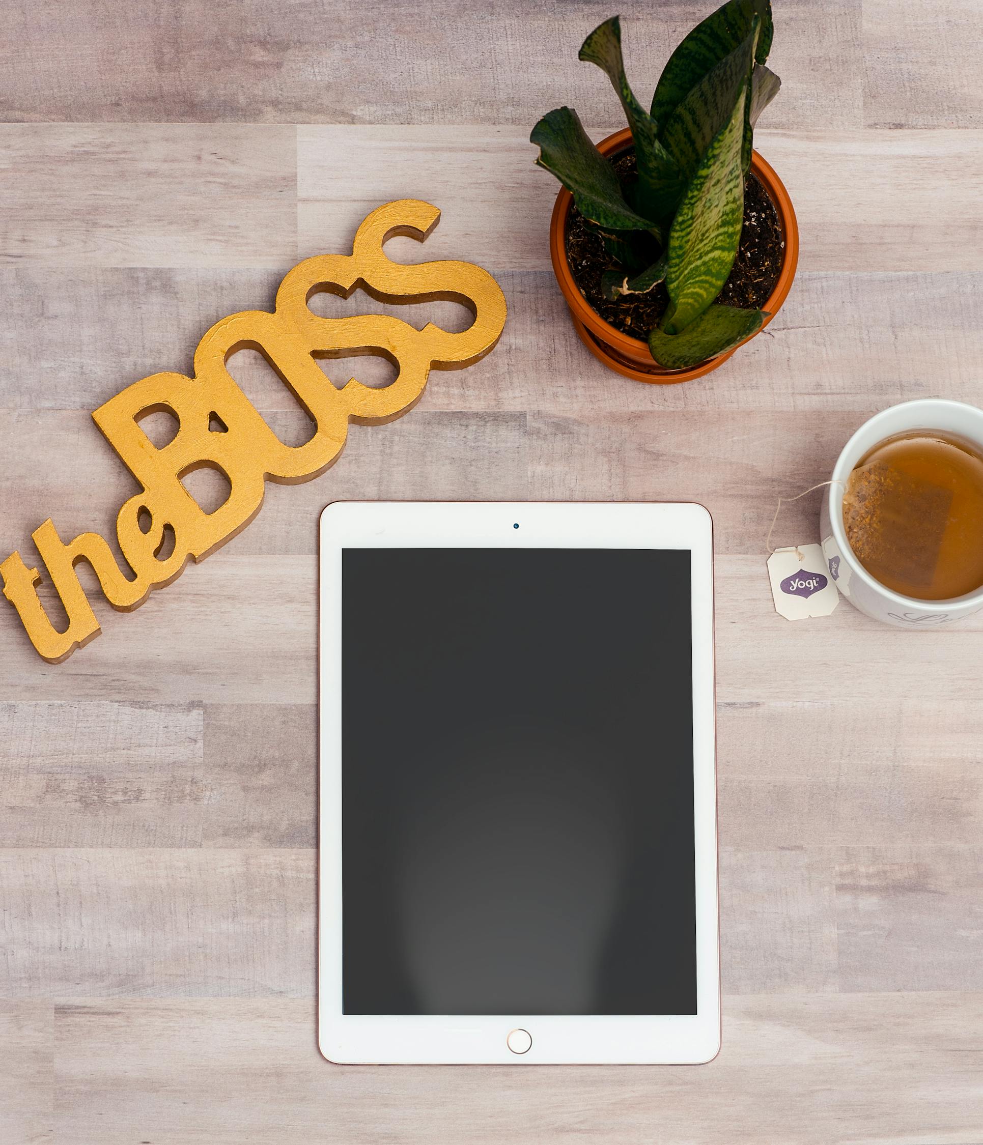 全能轻享，联想A310，新一代学生本电脑深度评测