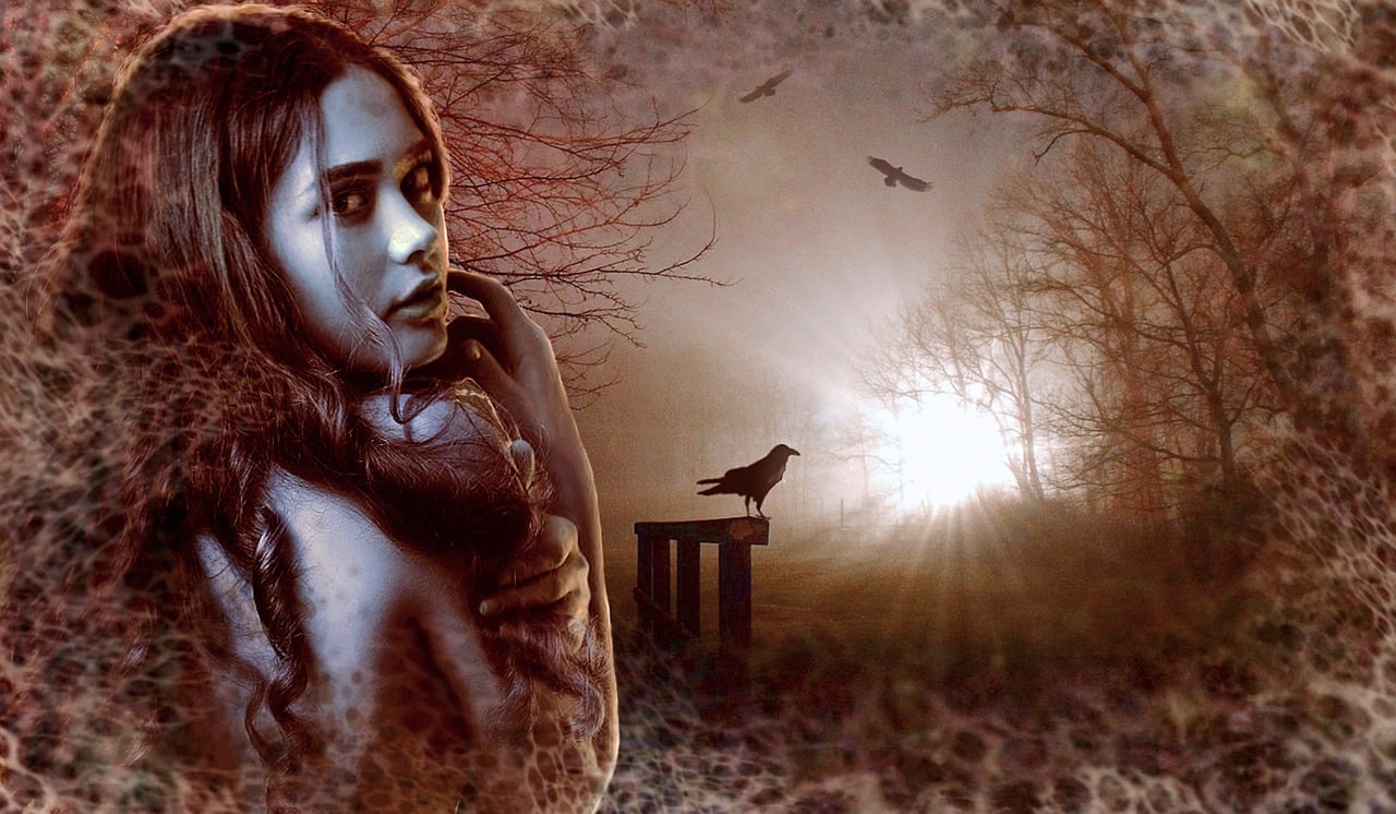 奇闻秘录，探索未知世界的奇异故事集