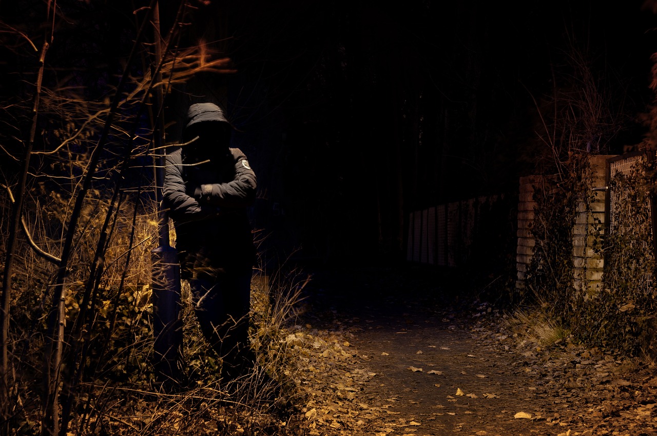 列车撞上野猪，机械师查看被撞身亡，一起悲剧背后的安全反思