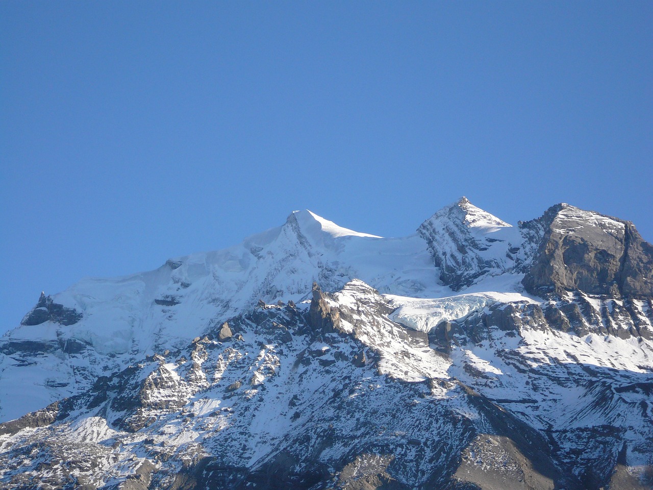 山东多地迎来今冬第一场雪
