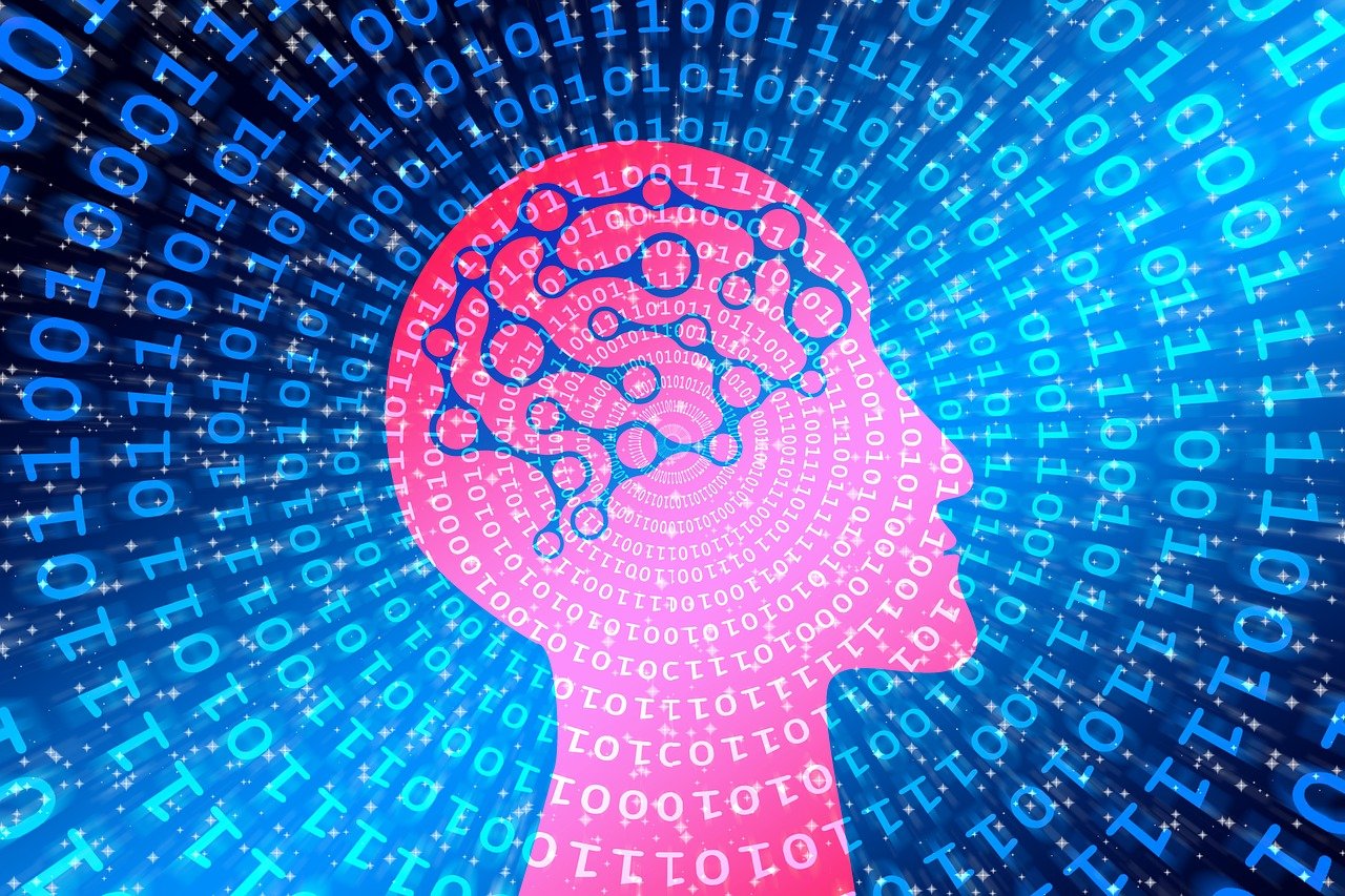 探索数学世界的神秘数字，偶数的魅力与应用解析