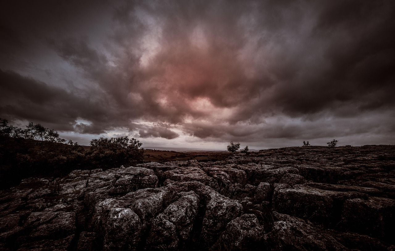 韩国新电影哈尔滨引争议，文化、历史与艺术的交织碰撞