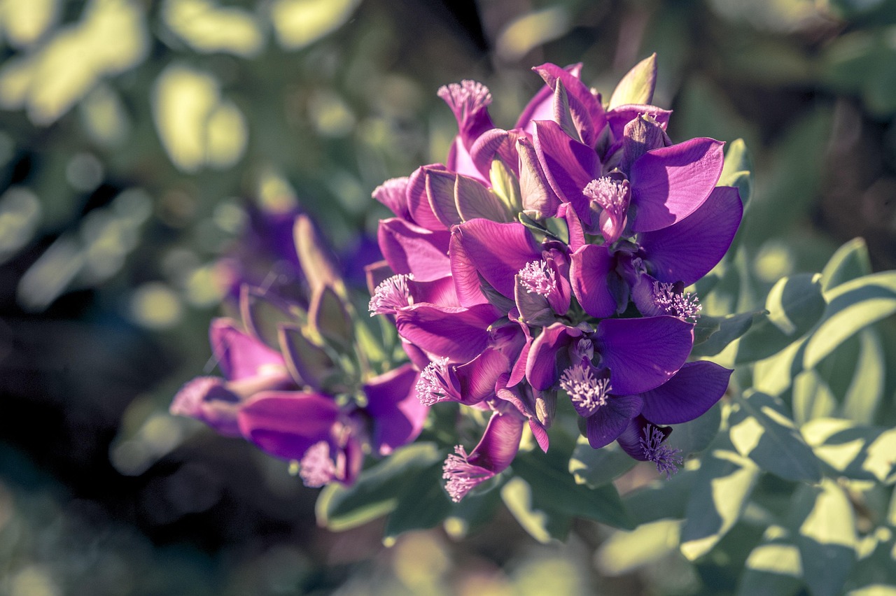 探索紫东新区，最新发展动态与未来潜力解析