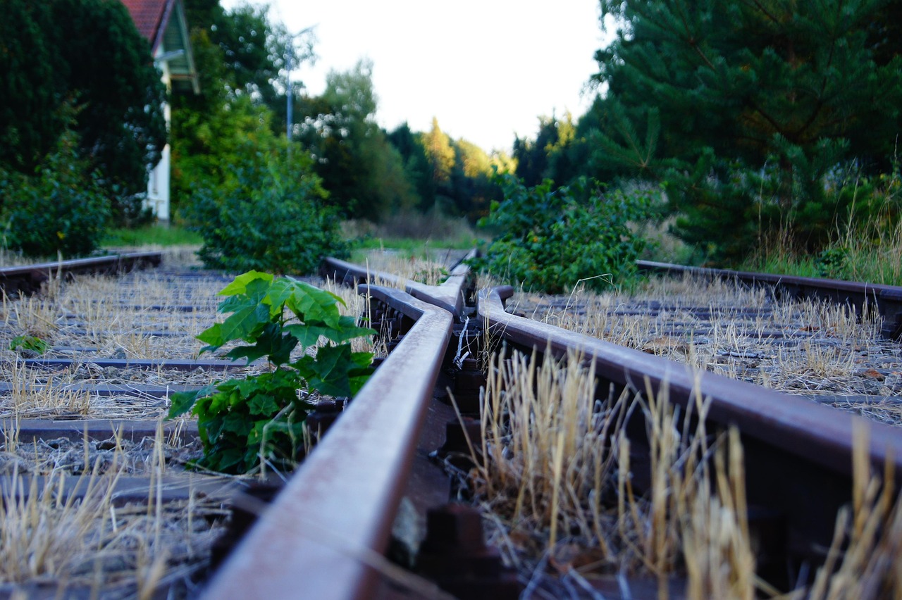 北京丰台区疫情动态，新增确诊病例轨迹解析与防控建议