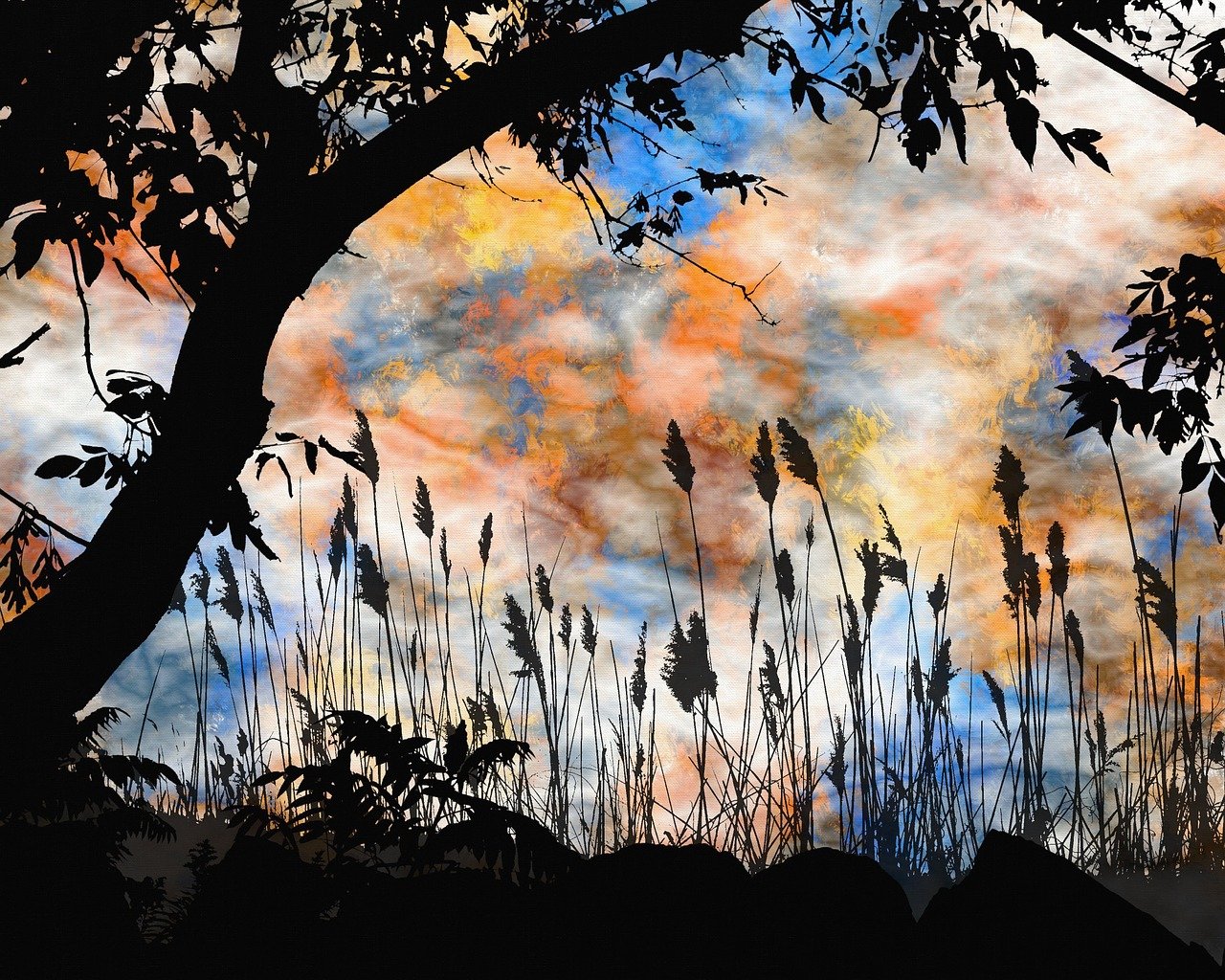 探索韵味深长，生活的艺术与智慧