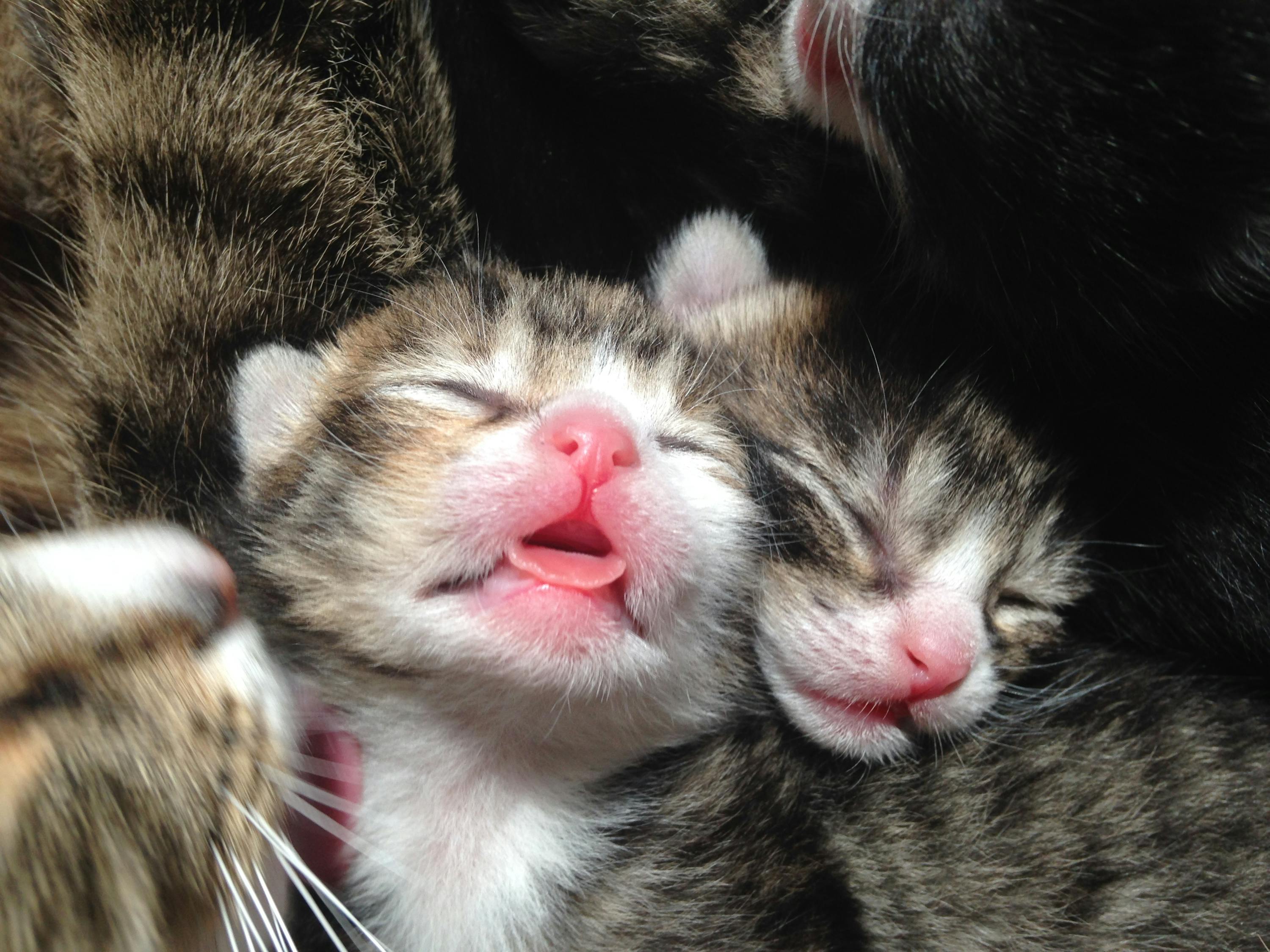 生活趣图简笔画，可爱瞬间，绘出快乐每一天