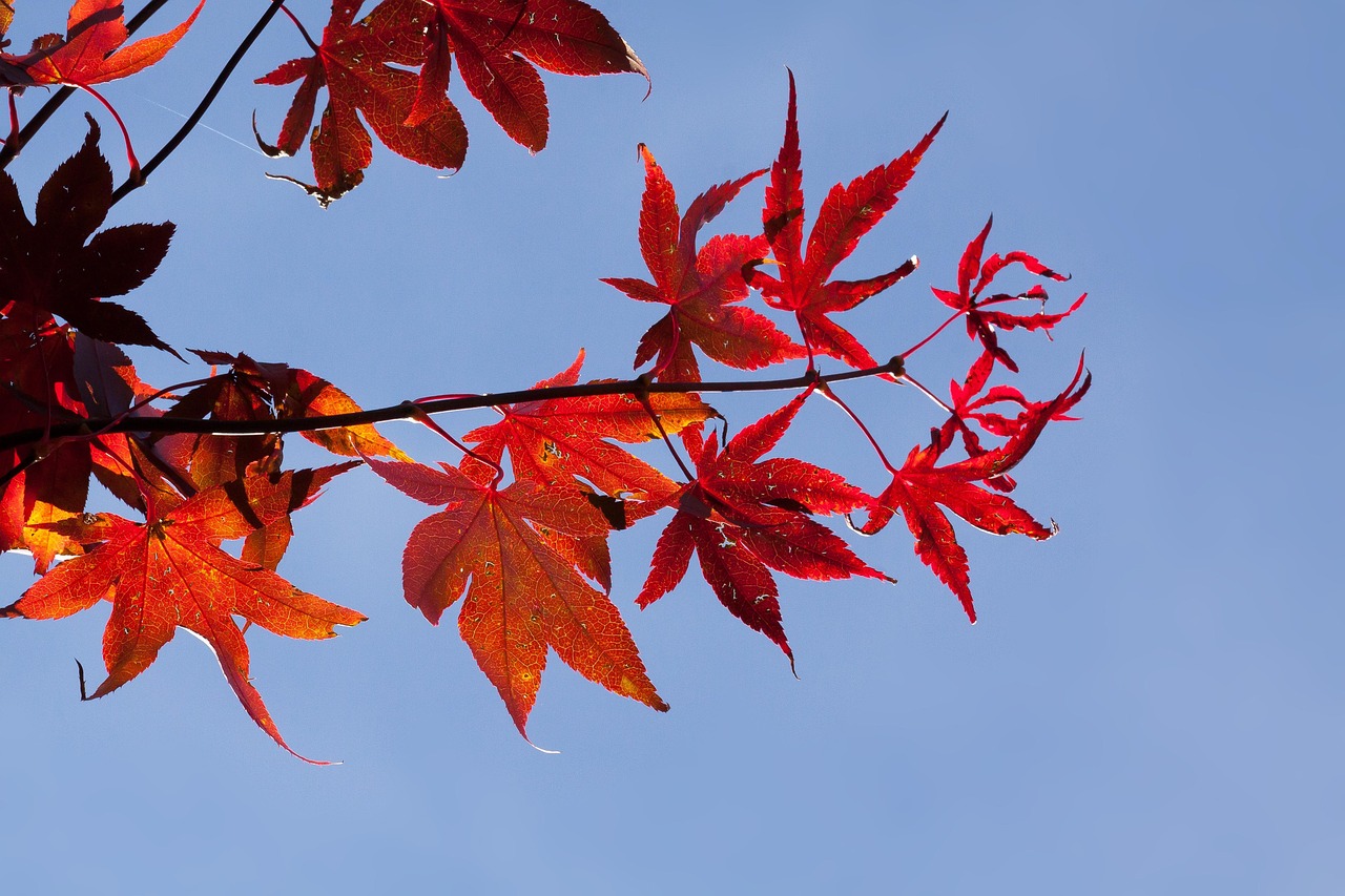 河北战疫新动态，本土新增3例，防控不松懈