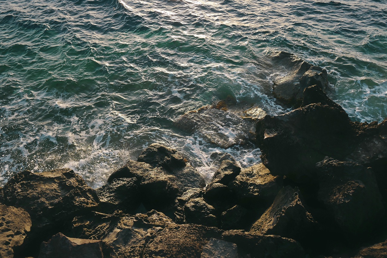 北京本土病例再现，疫情动态、应对措施与公众防护指南