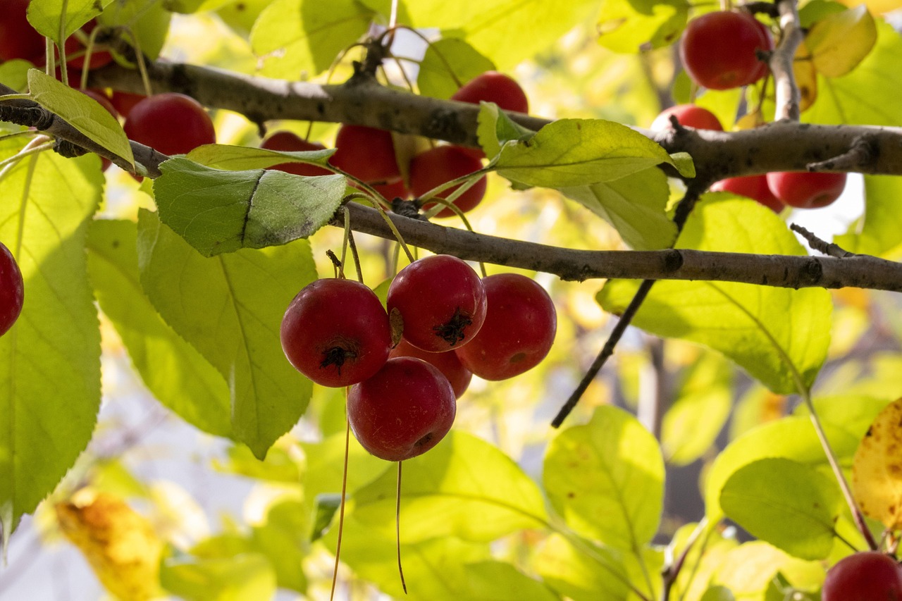 疫情新动态，31省新增12例，我们如何保持警惕并采取行动