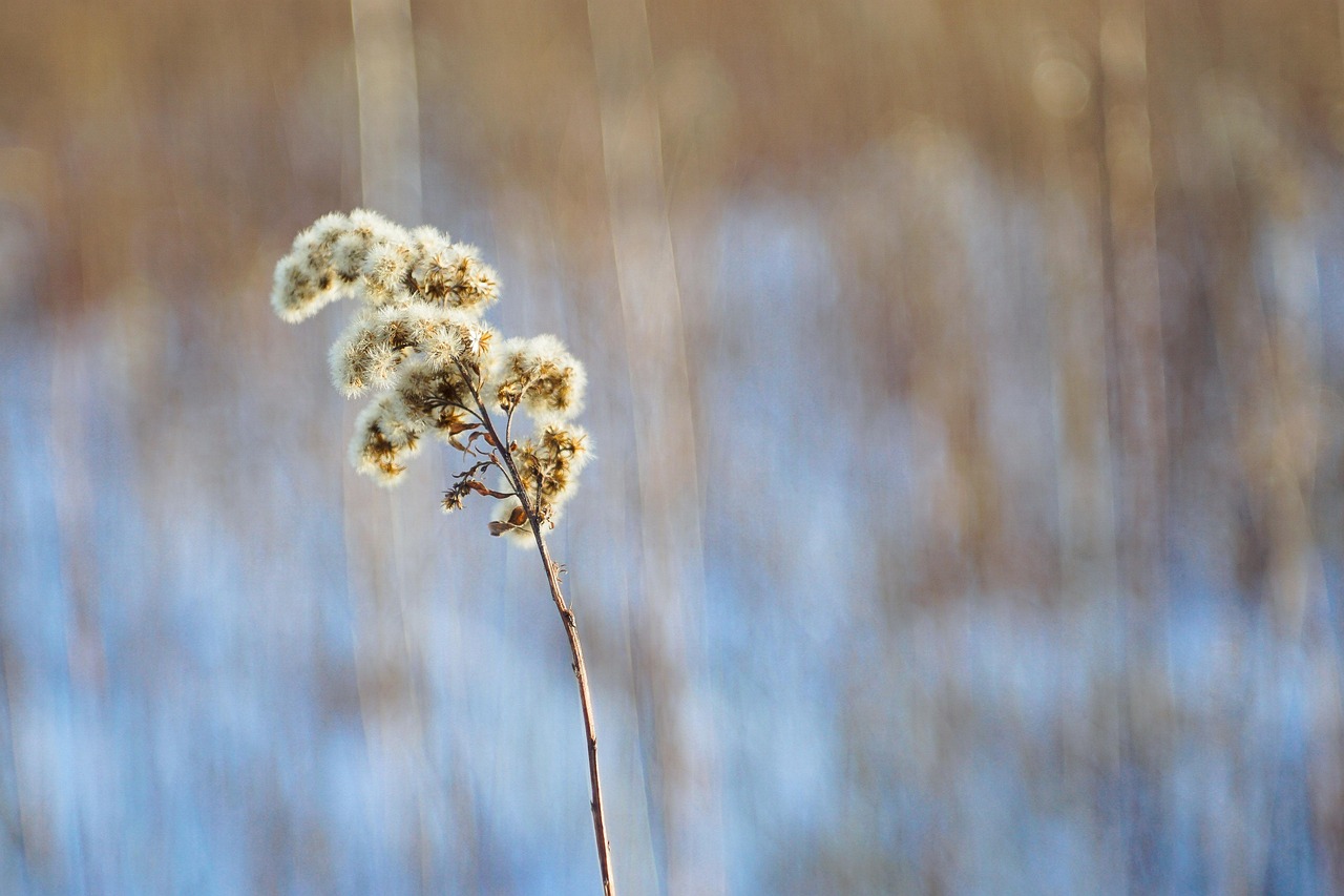 爱生活，从心开始，初中生的600字生活感悟