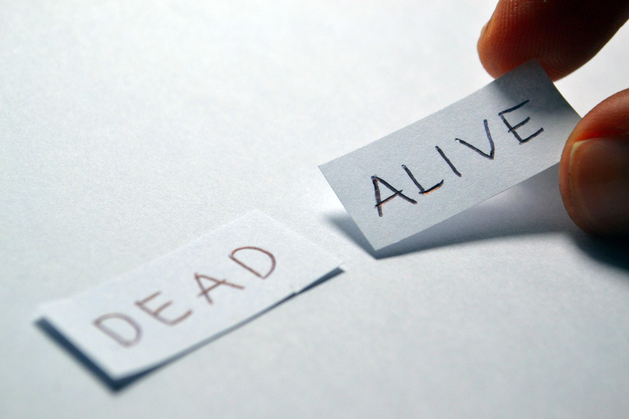 共享网络热点，简单步骤与实用技巧