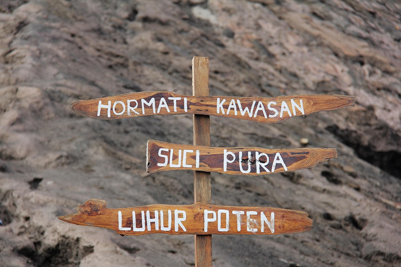 探索生活乐趣，如何在平凡中发现非凡