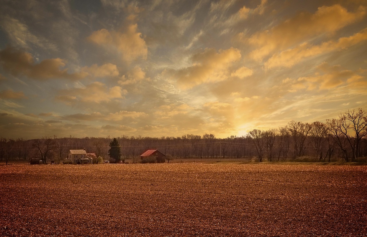 诗歌，生活乐无边的艺术