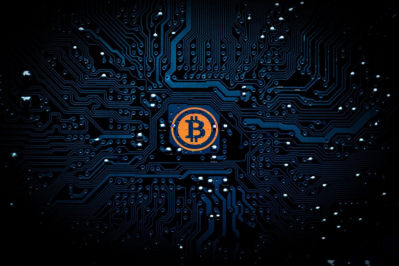 揭秘人体实验网络用语，网络文化中的隐喻与现实