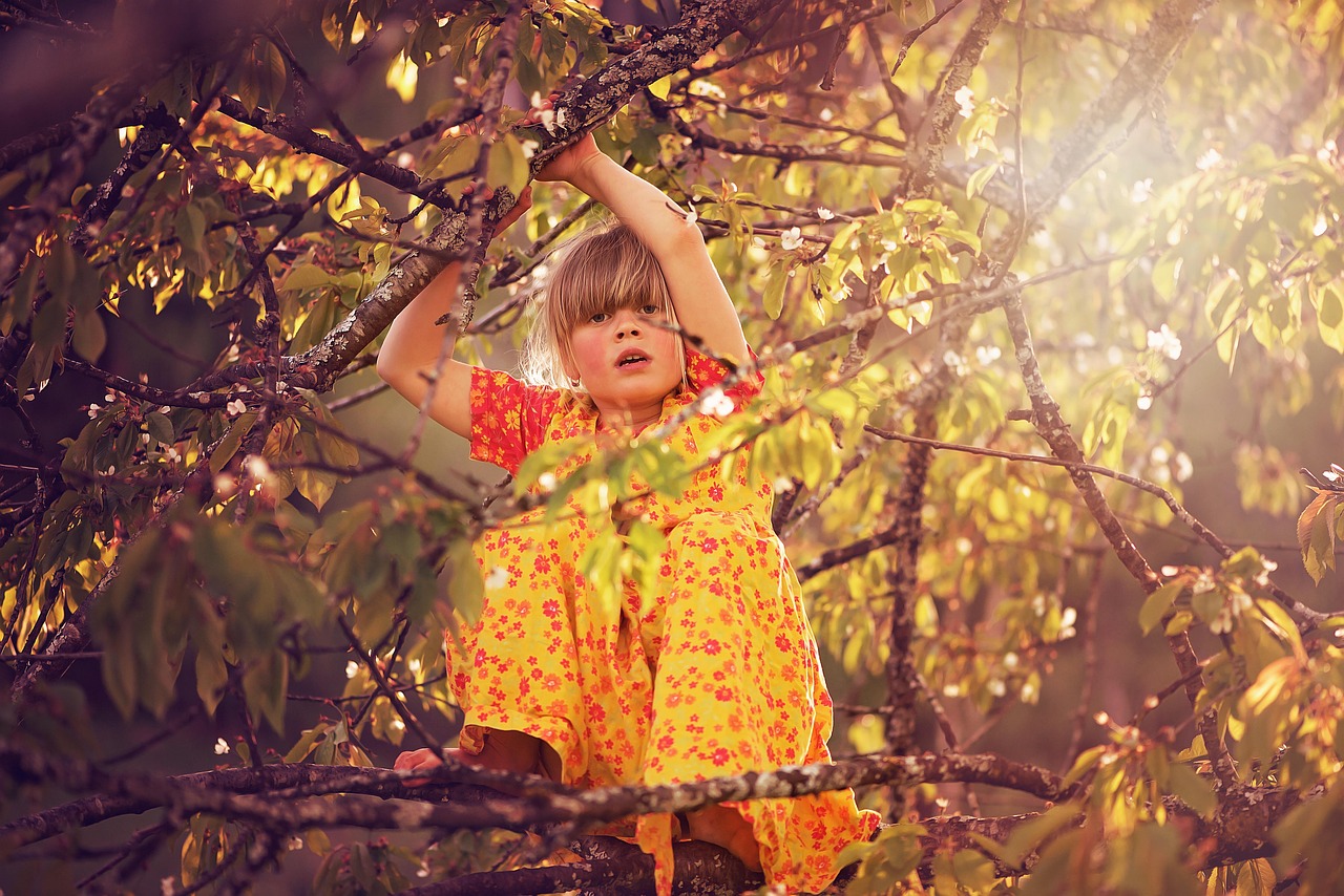 品味生活，从古诗中寻找生活的味道