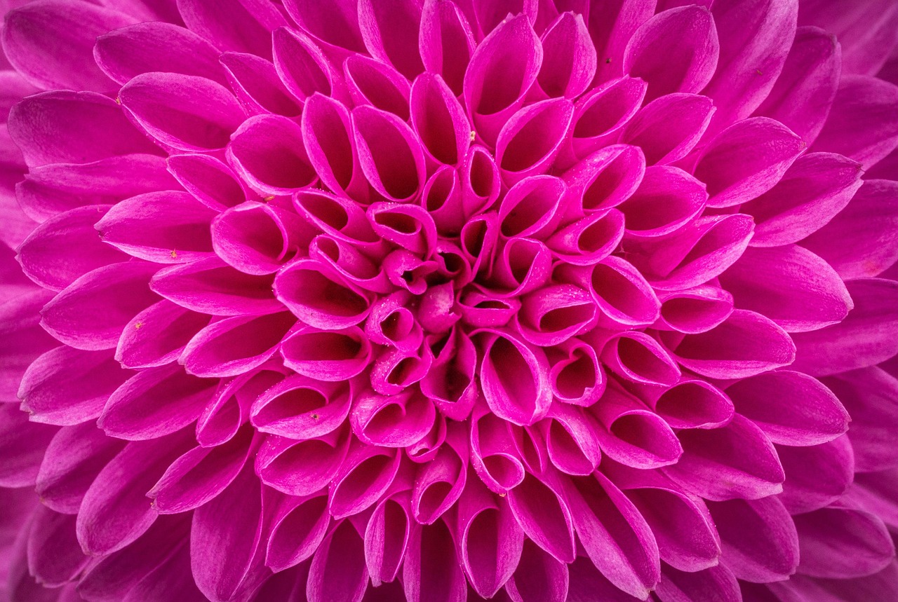 生活经验，智慧的火花，生活的指南针
