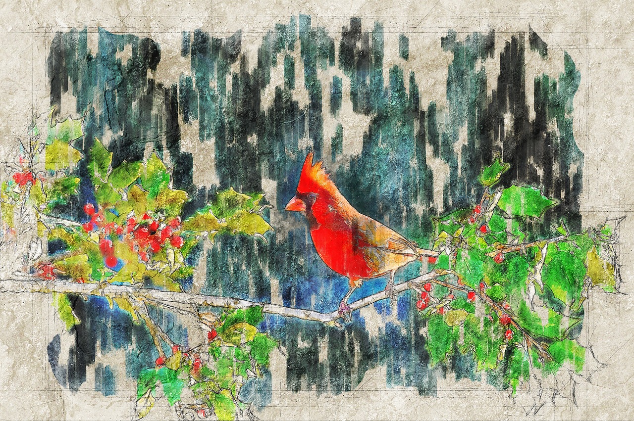寒假生活，多彩的冬日篇章